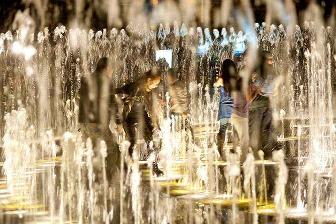 Magic Water Circuit With Dinner - Detailed Tour Information