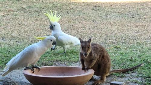 Magnetic Island Bed and Breakfast - Property Overview