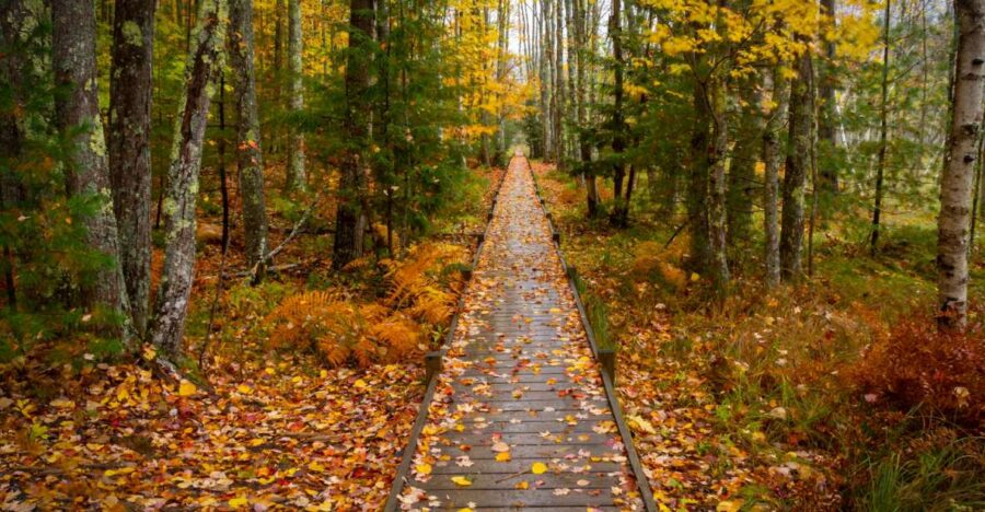 Maine: Self-Guided Walking & Driving Audio Tour Bundle