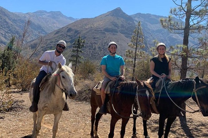 Maipo Canyon: Andes Mountains Horseback Ride and Wine Tour & Tasting - Tour Overview