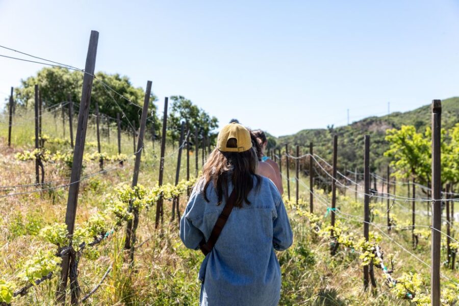 Malibu: Guided Vineyard Hike With Photo Stops and Wine - Malibu Wine Country Exploration