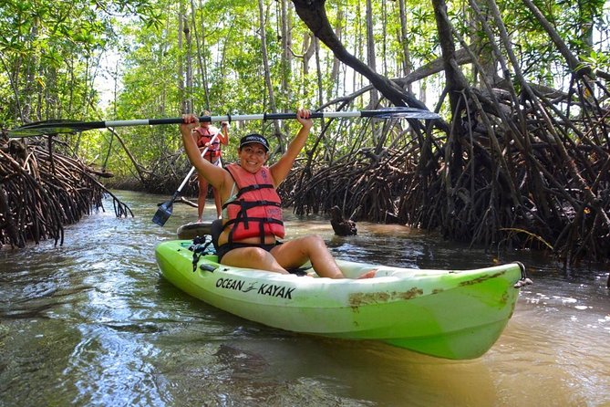 Mangrove Kayaking (Or Boat) Adventure