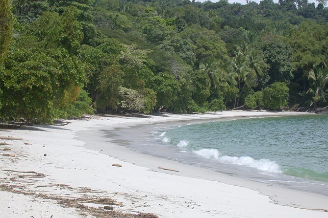 Manuel Antonio National Park Full Day Tour From San Jose