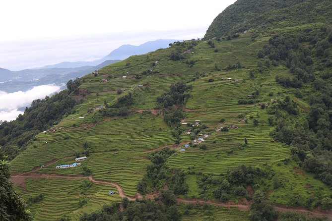 Mardi Himal Base Camp Trek (5 Days)
