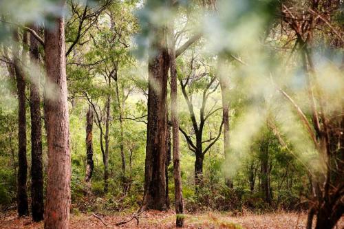 Margarets Forest - Property Location and Surroundings