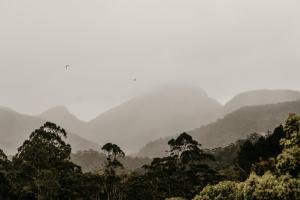 Maviss Cabins @ Mt Warning - Property Overview