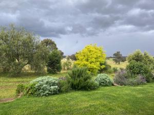 Meander Retreat - The Green Room - Property Overview