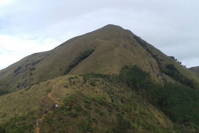 Meesapulimala Sunrise Trek( by Munnar Info) - Overview of the Trek