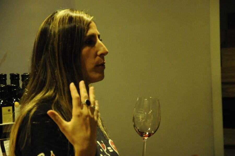 Mendoza: Premium Wine Tasting