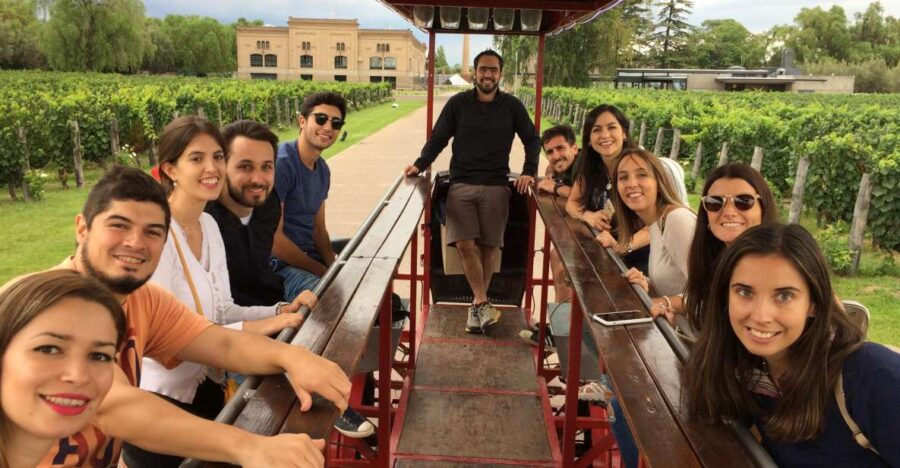 Mendoza: Winebike Tasting Tour With Optional Lunch - Tour Overview and Pricing