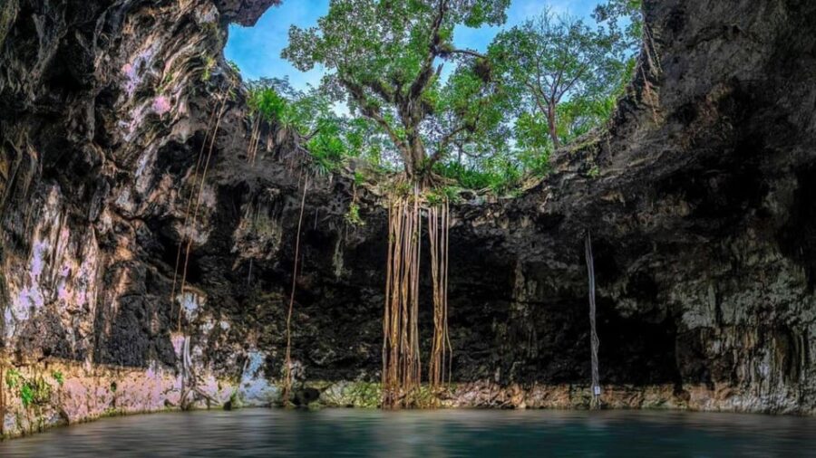 Mérida: Full-Day Sacred Cenotes Tour With Lunch