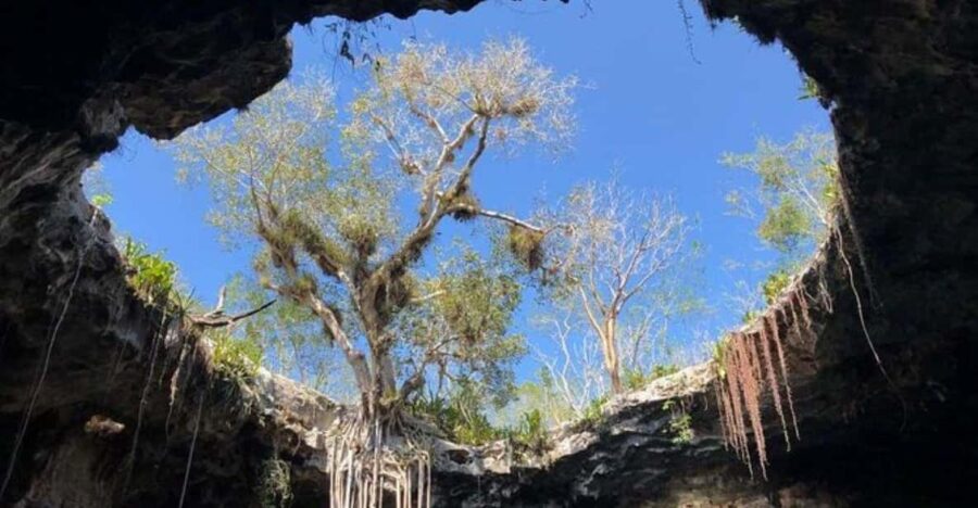 Merida: Santa Barbara Cenotes Tour