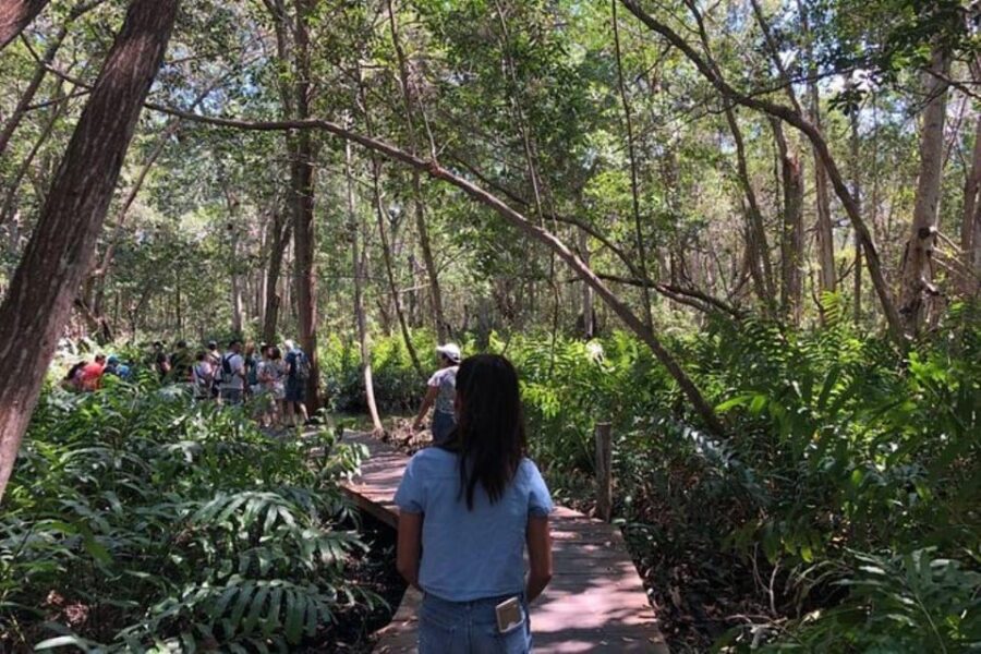 Merida: Tour to Celestún