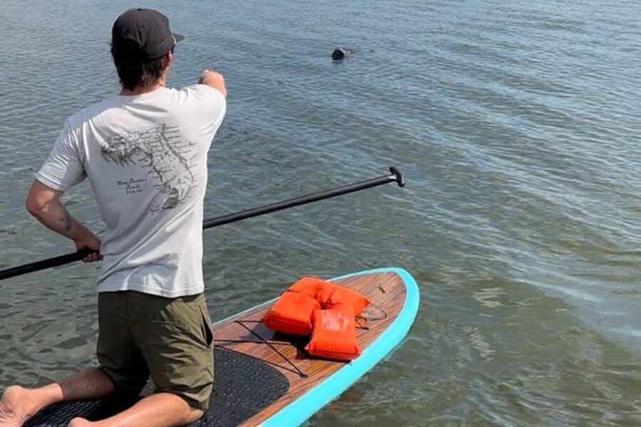 2 Best Canoe And Kayak Experiences In Merritt Island