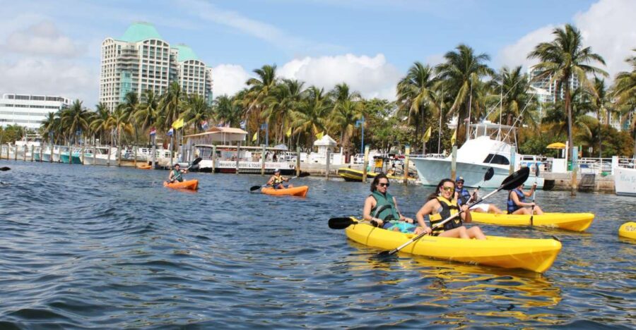 Miami: Biscayne Bay Kayak or Paddleboard Rental