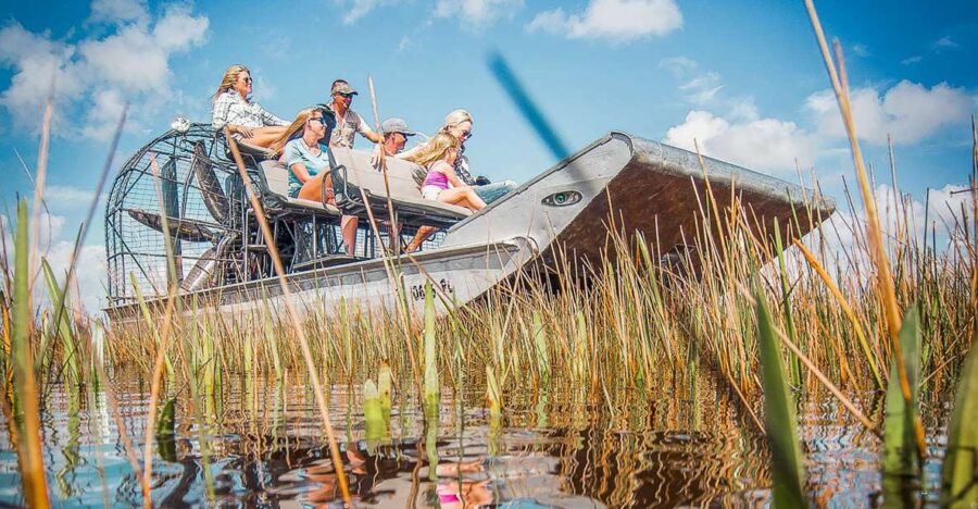 Miami: Everglades National Park Airboat Tour & Wildlife Show