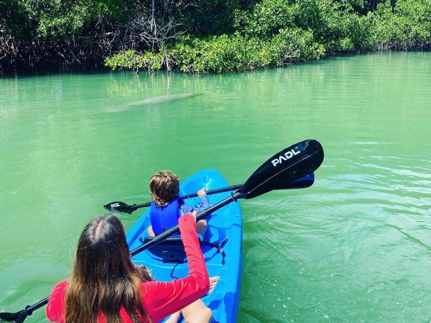 24 Best Canoe And Kayak Experiences In Miami