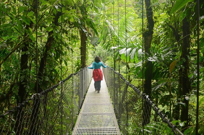 Mistico Arenal Hanging Bridges - Fruit & Guided Walk