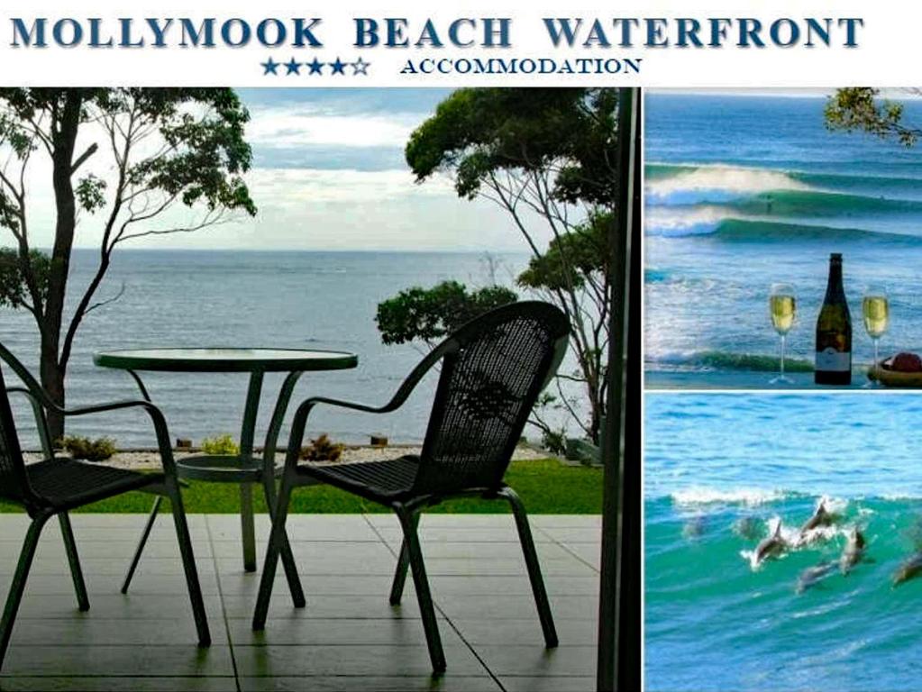 Mollymook Beach Waterfront Review