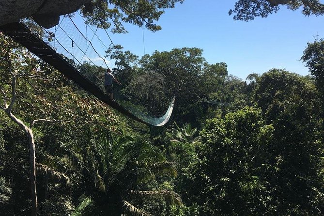 Monkey Island and Canopy Bridge