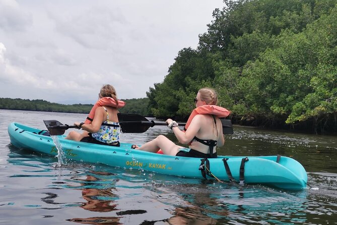 Monkey Sanctuary Reserve + Kayaking at Bahía De Jiquilisco + Lunch Included