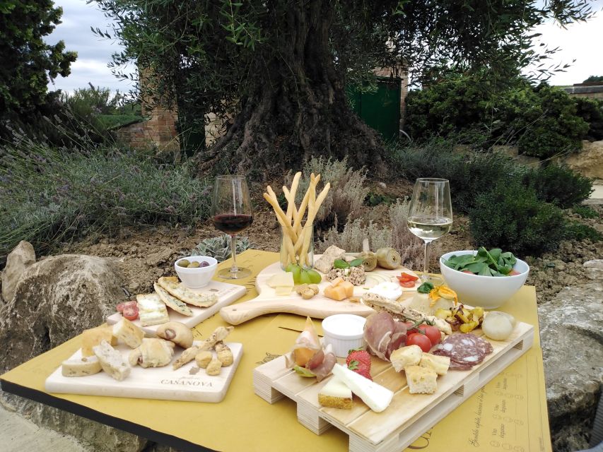 Montepulciano: Tuscan Winery Tour With Wine Tasting & Meal