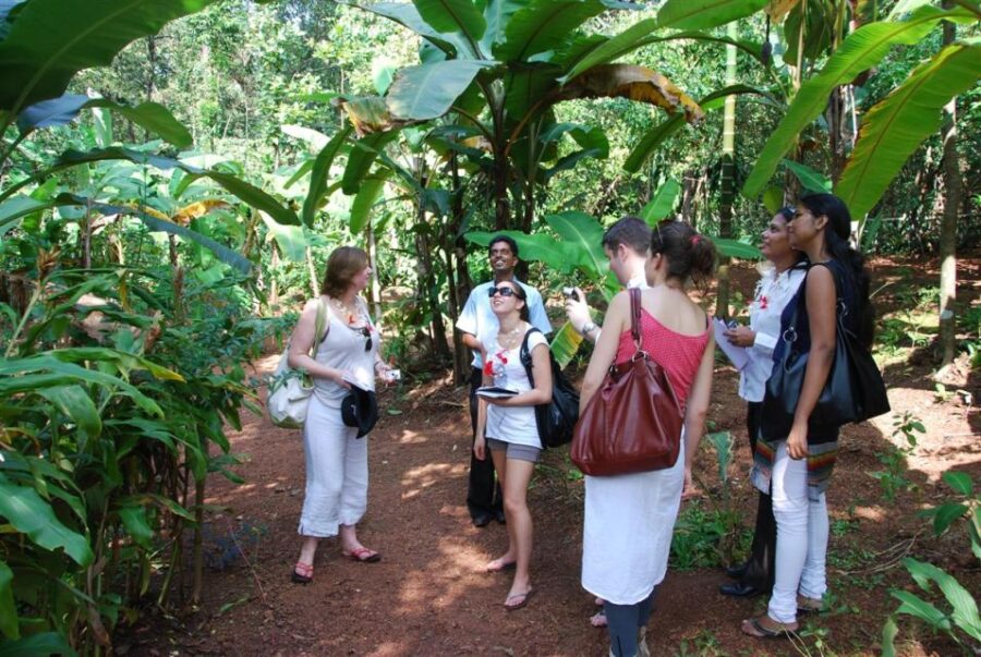3 Best Shopping Tours In Goa