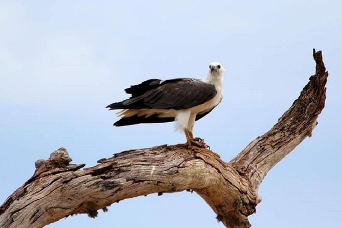 Morning 07 Hour Private Safari at Yala National Park by Yala La Safari Tours