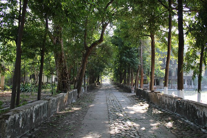 Morning Ashram Walk in Rishikesh