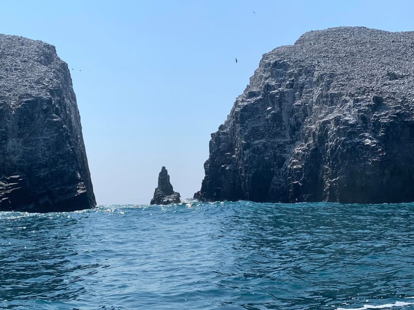 Morros De Potosi: Dive Into the Mysteries of the Night