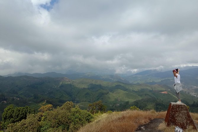 Munnar Mountain Trekking - Overview of the Activity