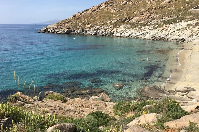 Mykonos Safari Island Tour - According To The Locals - Inclusions and Logistics