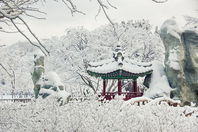 Nami Island and Petite France With the Garden of Morning Calm One Day Tour