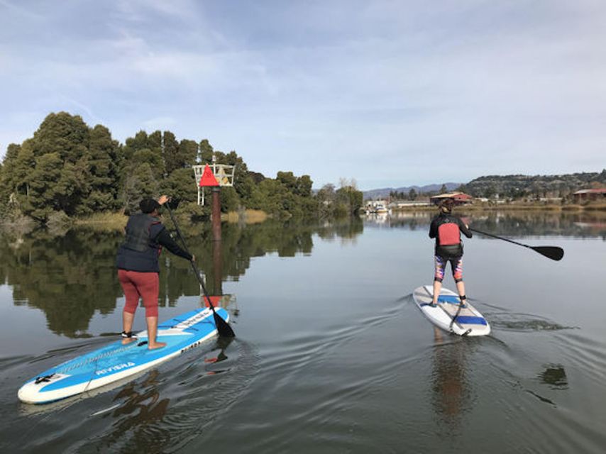 Napa Valley: Napa River Stand Up Paddle Board Rental