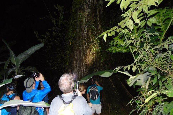 Nativos Corcovado Night Hike in DrakeBay