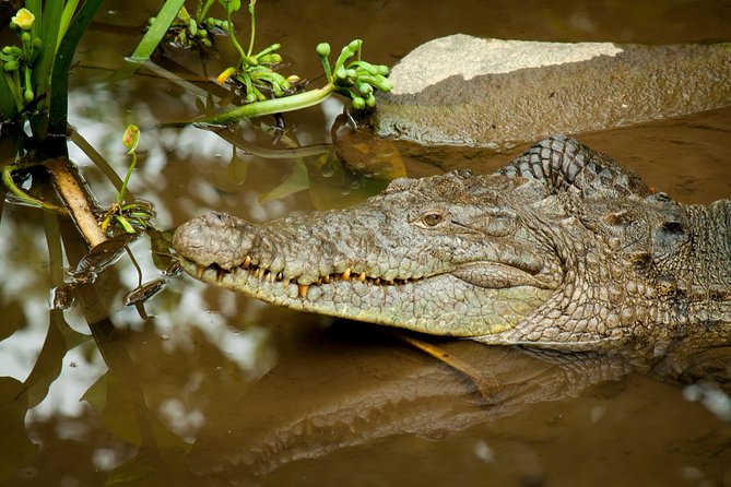 Natura Eco Park Costa Rica - Plus Admission, Wildlife Sanctuary - Overview of Natura Eco Park