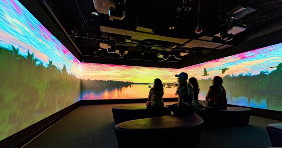 New Orleans: Vue Orleans Observation Deck Entry Ticket - Ticket Pricing and Cancellation