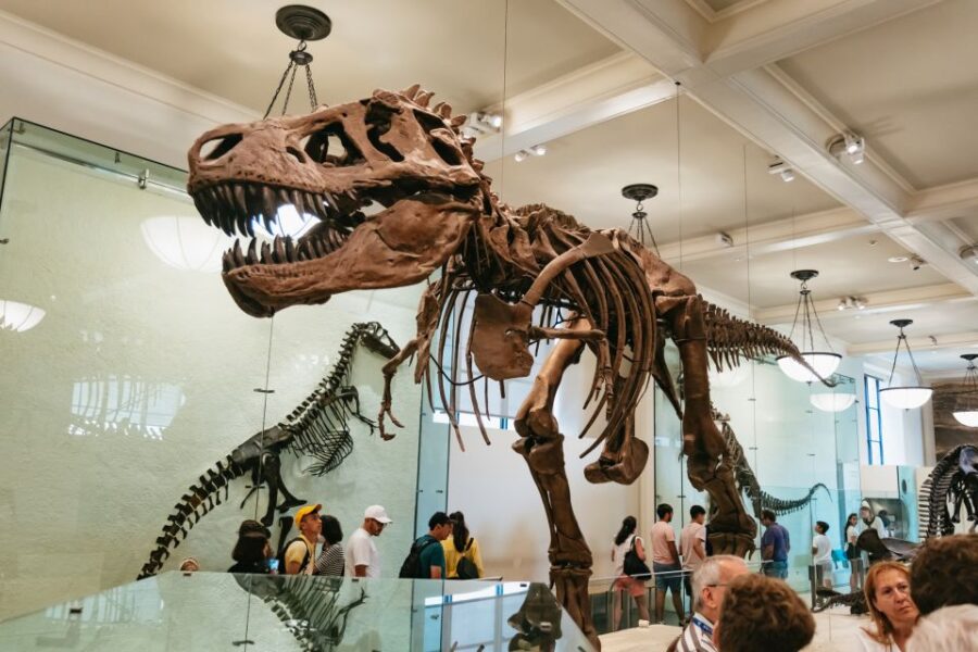 New York City: American Museum of Natural History Ticket - Ticket Details and Pricing