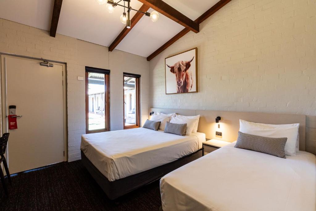 Nightcap at Wintersun Hotel Review