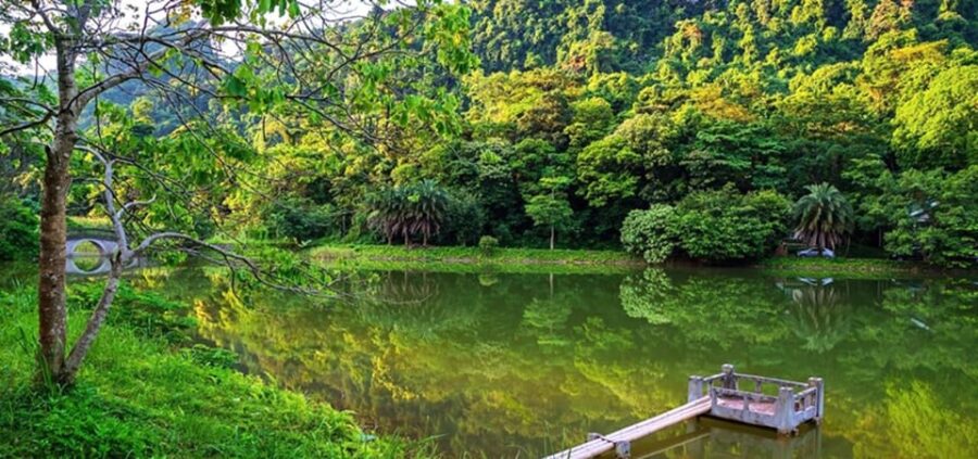 Ninh Binh: Explore Cuc Phuong National Park Full Day