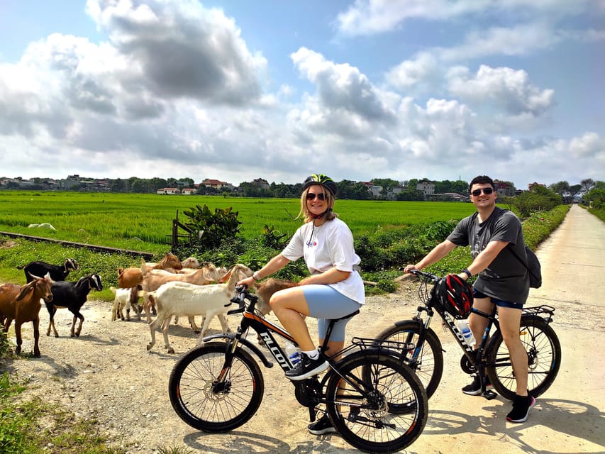 Ninh Binh Full-Day Small Group of 11 Guided Tour From Hanoi - Tour Overview and Pricing