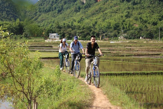 Ninh Binh-Hoa Lu-Tam Coc - Mua Cave - Dragon Mountain Hiking 1 Day Tour