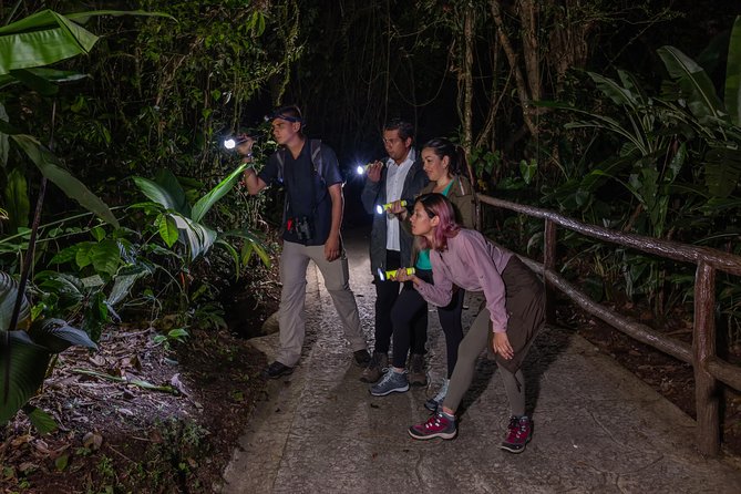 Nocturnal Walk in the Hanging Bridges