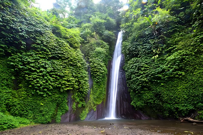 North Bali Tour - Visiting Rice Terrace, Lake, Waterfall, Temple and Hot Spring