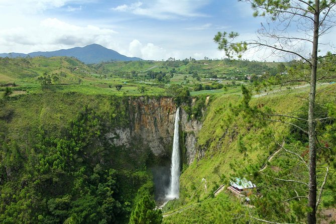 North Sumatra & Barumun Nagari Wildlife Sanctuary Program