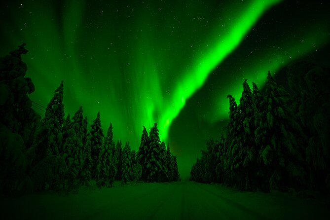 Northern Lights Hunting Adventure in Lapland