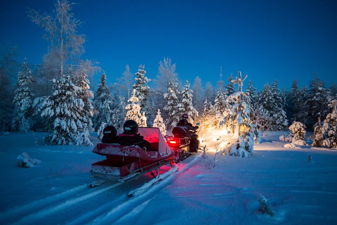 Northern Lights Sledge Ride