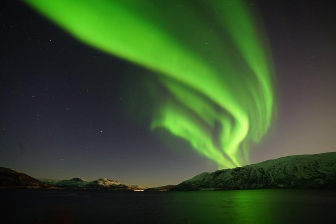 Northern Lights – Teslax Ecofriendly Car