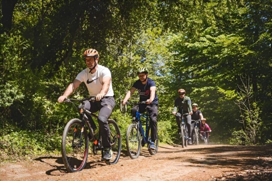 Northern Mountain Biking Adventure in Dalats Hills - Tour Overview