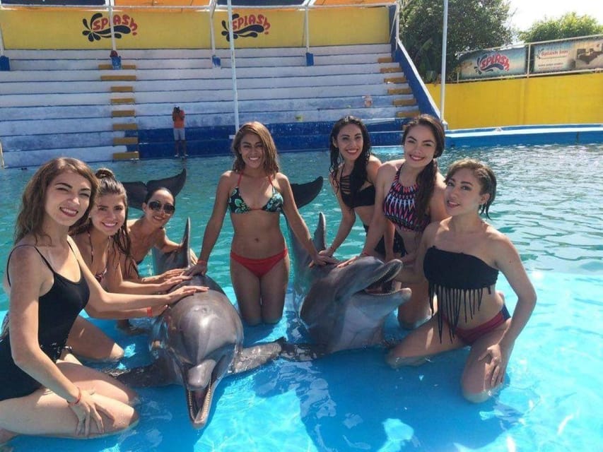 5 Best Dolphin Watching Tours In Nuevo Vallarta